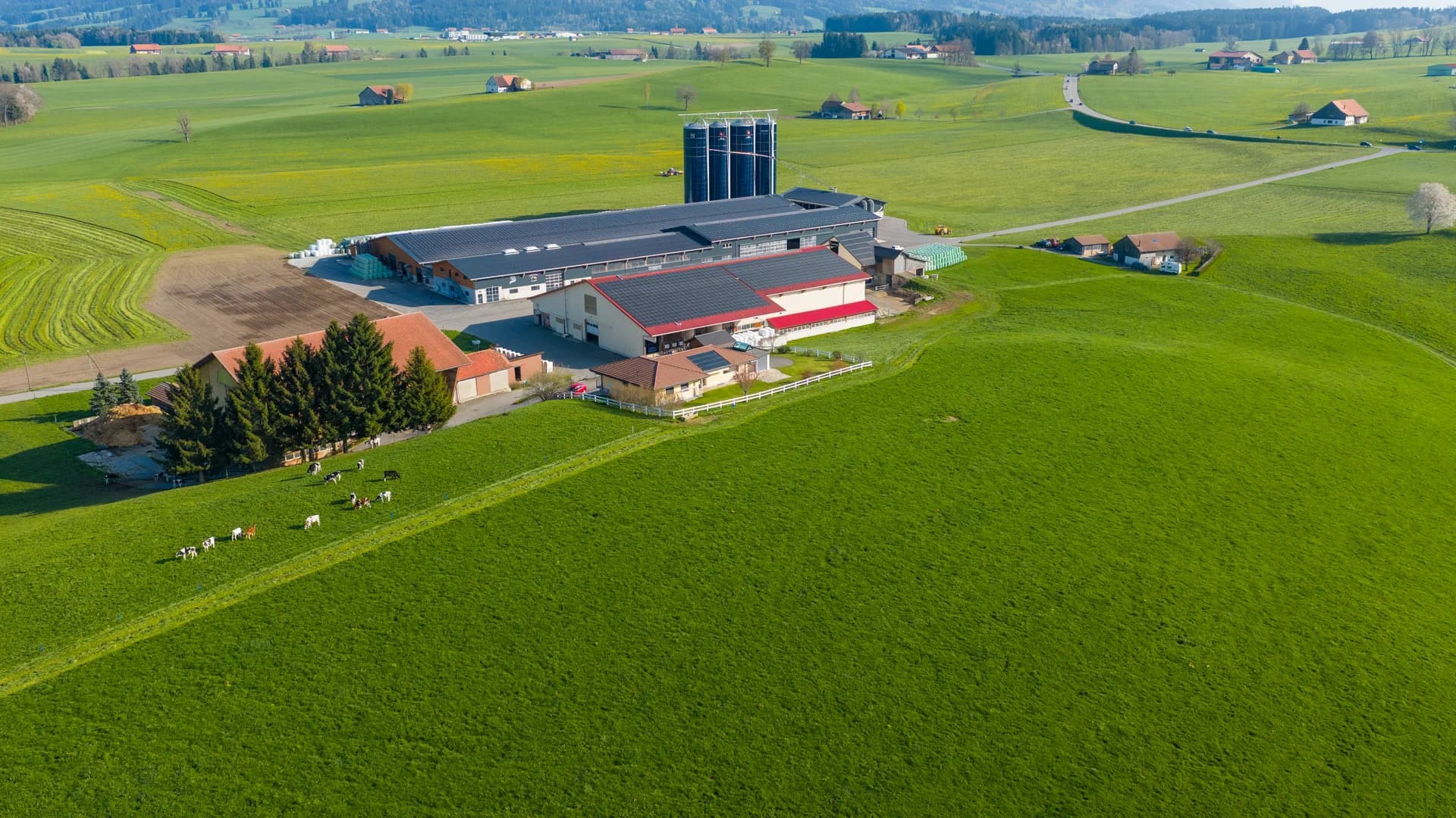 Vue aérienne de la Ferme La Lorraine avec vaches au pâturage